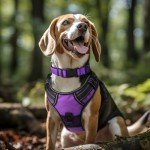 Joytale Adjustable Reflective Dog Collar for Large Dogs