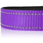 Joytale Adjustable Reflective Dog Collar for Large Dogs