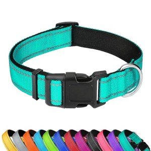 Reflective Teal Dog Collar with Adjustable Neoprene Padding