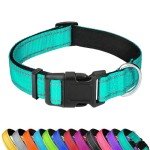 Reflective Teal Dog Collar with Adjustable Neoprene Padding