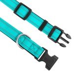 Reflective Teal Dog Collar with Adjustable Neoprene Padding