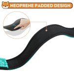 Reflective Teal Dog Collar with Adjustable Neoprene Padding