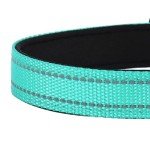 Reflective Teal Dog Collar with Adjustable Neoprene Padding