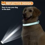 Reflective Teal Dog Collar with Adjustable Neoprene Padding