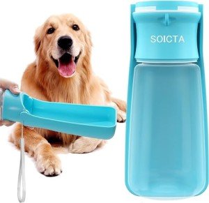 Portable Dog Water Bottle for Walking - 19 oz