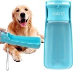 Portable Dog Water Bottle for Walking - 19 oz