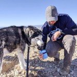 Portable Dog Water Bottle with Bowl - Leak Proof