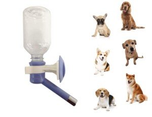 No-Drip Dog Water Bottle and Feeder, 10.2 Oz
