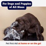 19-Piece Dog and Cat First Aid Kit
