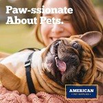 19-Piece Dog and Cat First Aid Kit