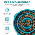 Outward Hound Slow Feeder Dog Bowl - Turquoise