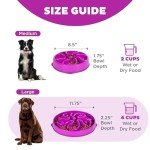 Outward Hound Large Slow Feeder Dog Bowl