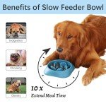 MateeyLife 2PC Slow Feeder Dog Bowls Set