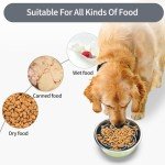 Upgraded Slow Feeder Bowl for All Dog Sizes
