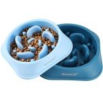 MateeyLife 2PC Slow Feeder Dog Bowls Set