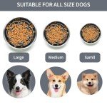 Upgraded Slow Feeder Bowl for All Dog Sizes