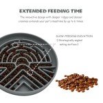 Lesipee Slow Feeder Dog Bowl - Anti-Choking Design