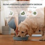 Lesipee Slow Feeder Dog Bowl - Anti-Choking Design