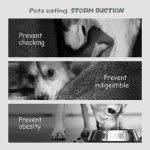 Lesipee Slow Feeder Dog Bowl - Anti-Choking Design