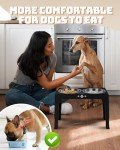 Jovrun Adjustable Elevated Dog Bowl Set