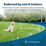 PetSafe Wireless Electric Fence for Dogs - Portable