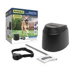 PetSafe Stay & Play Wireless Dog Fence System