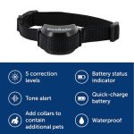 PetSafe Stay & Play Wireless Dog Fence System