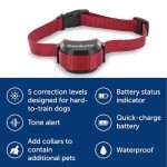 PetSafe Stay & Play Wireless Fence for Dogs