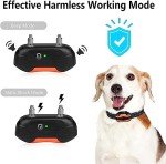 Rechargeable Electric Dog Fence System with Collars