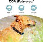 Rechargeable Electric Dog Fence System with Collars