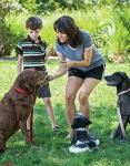 Complete Dog Training Manual: From Puppies to Problems