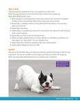 Complete Dog Training Manual: From Puppies to Problems
