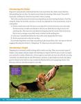 Complete Dog Training Manual: From Puppies to Problems