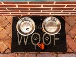 Greendale - 2 Stainless Steel Pet Bowls (1.6 Cups)