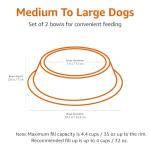 Stainless Steel Non-Skid Dog Bowl 2-Pack