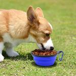Collapsible Dog Bowls for Travel – 2 Pack
