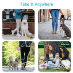 Silicone Collapsible Dog Bowls - 2-Pack Set