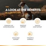 NaturVet All-in-One Dog Supplement Soft Chews