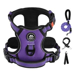 Ivy & Lane Adjustable No Pull Dog Harness - Small