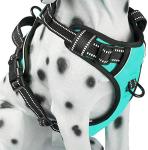 PoyPet No Pull Reflective Dog Harness, Mint Blue