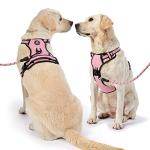 Adjustable No-Pull Dog Harness with Leash, Pink