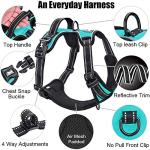 PoyPet No Pull Reflective Dog Harness, Mint Blue