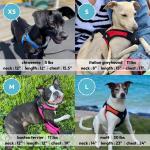 Gooby No Pull Step-In Dog Harness - Hot Pink