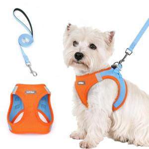 Rabbitgoo Small Dog Harness and Leash Set, Blue & Orange