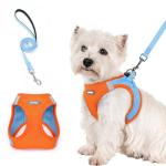 Rabbitgoo Small Dog Harness and Leash Set, Blue & Orange