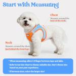 Rabbitgoo Small Dog Harness and Leash Set, Blue & Orange