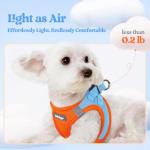 Rabbitgoo Small Dog Harness and Leash Set, Blue & Orange
