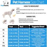 Customizable No Pull Dog Harness with Personalization