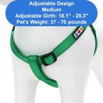 Lush Green Pawtitas Dog Harness