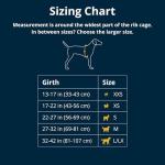 Ruffwear Front Range Reflective Dog Harness - Medium